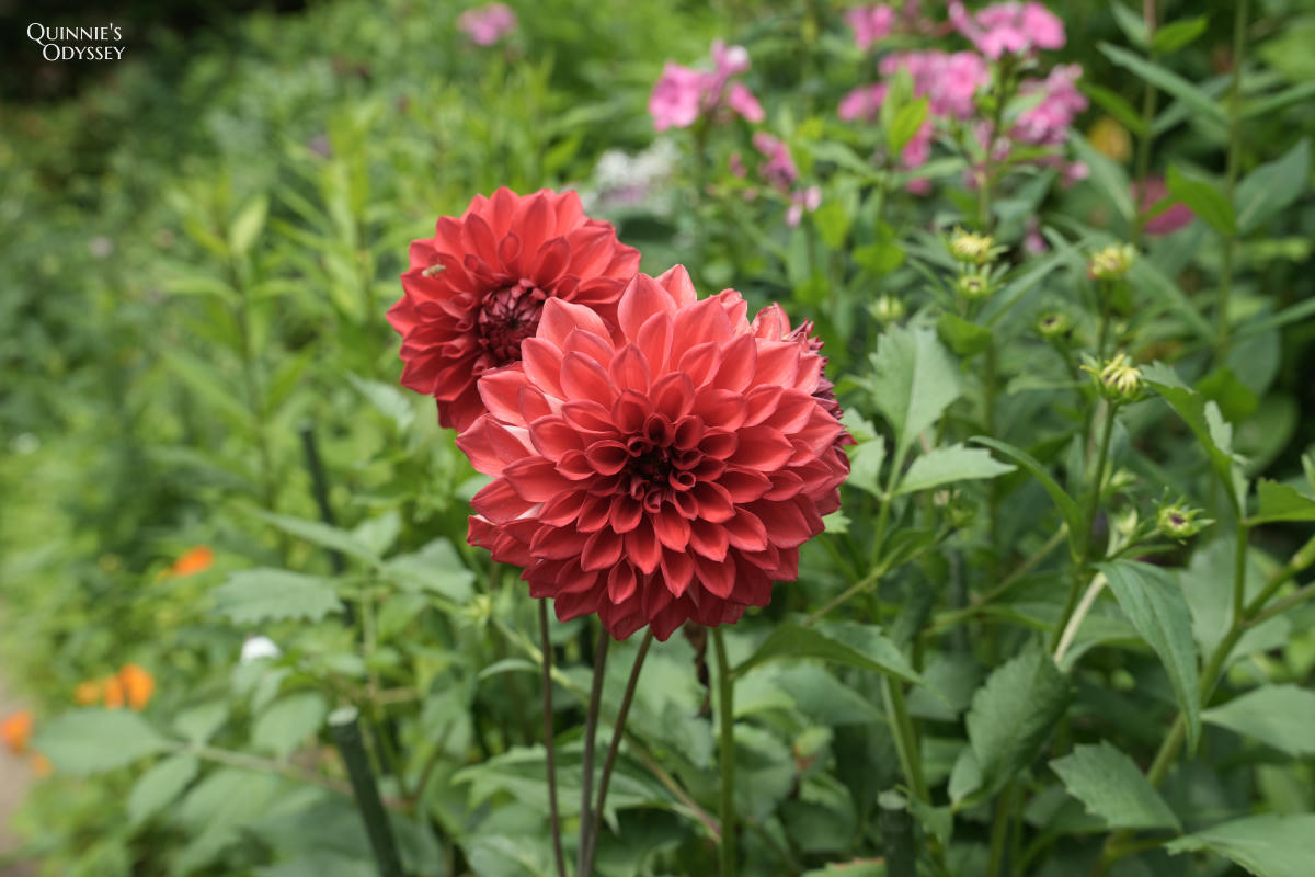 比叡山花園美術館