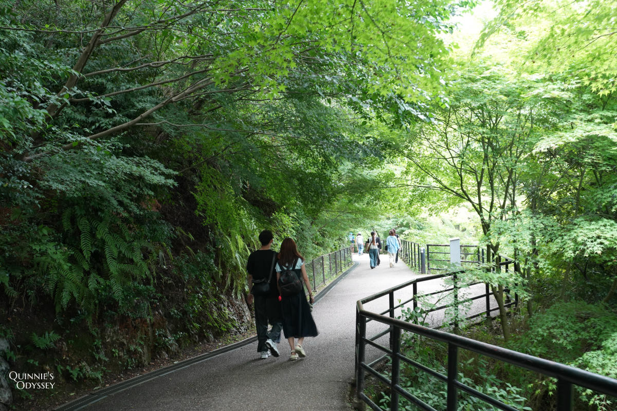 京都清水寺攻略:門票、交通、必看景點與行程安排一次整理 - 第30張圖 清水寺