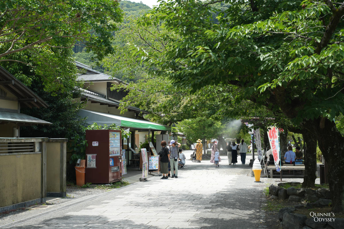 嵐山公園中之島&渡月橋散步:嵐山最值得放空的一段水岸 - 第8張圖 嵐山公園中之島
