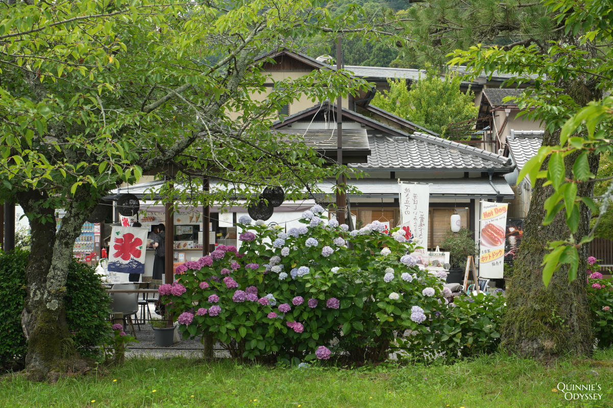嵐山公園中之島&渡月橋散步:嵐山最值得放空的一段水岸 - 第9張圖 嵐山公園中之島