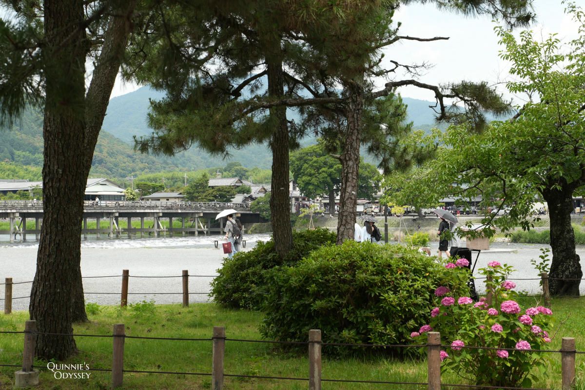 嵐山公園中之島&渡月橋散步:嵐山最值得放空的一段水岸 - 第6張圖 嵐山公園中之島