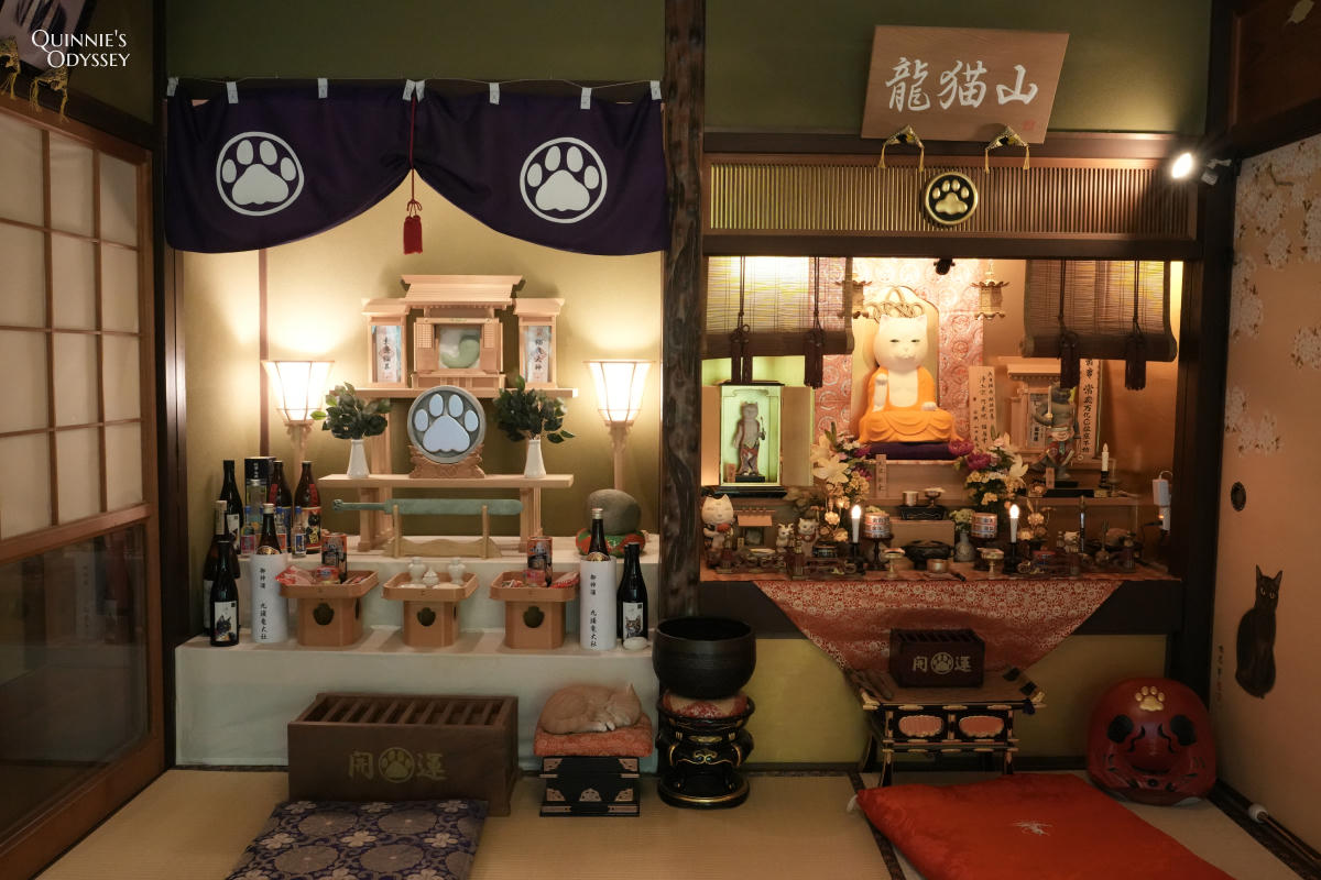 京都貓貓寺:貓奴必訪寺院型美術館,每個角落都是貓咪藝術 - 第13張圖 京都 貓貓寺 本堂與大日貓來