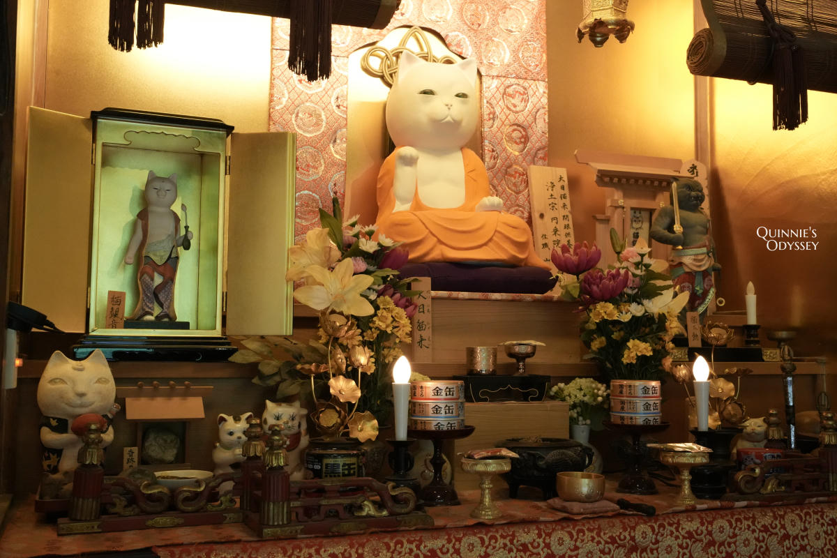 京都貓貓寺:貓奴必訪寺院型美術館,每個角落都是貓咪藝術 - 第14張圖 京都 貓貓寺 本堂與大日貓來