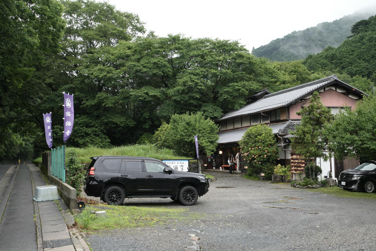 京都貓貓寺:貓奴必訪寺院型美術館,每個角落都是貓咪藝術 - 第2張圖 京都 貓貓寺