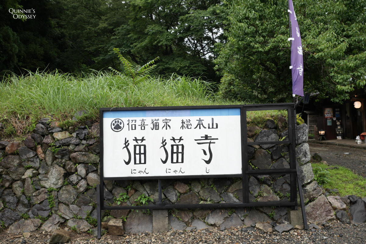 京都貓貓寺:貓奴必訪寺院型美術館,每個角落都是貓咪藝術 - 第3張圖 京都 貓貓寺