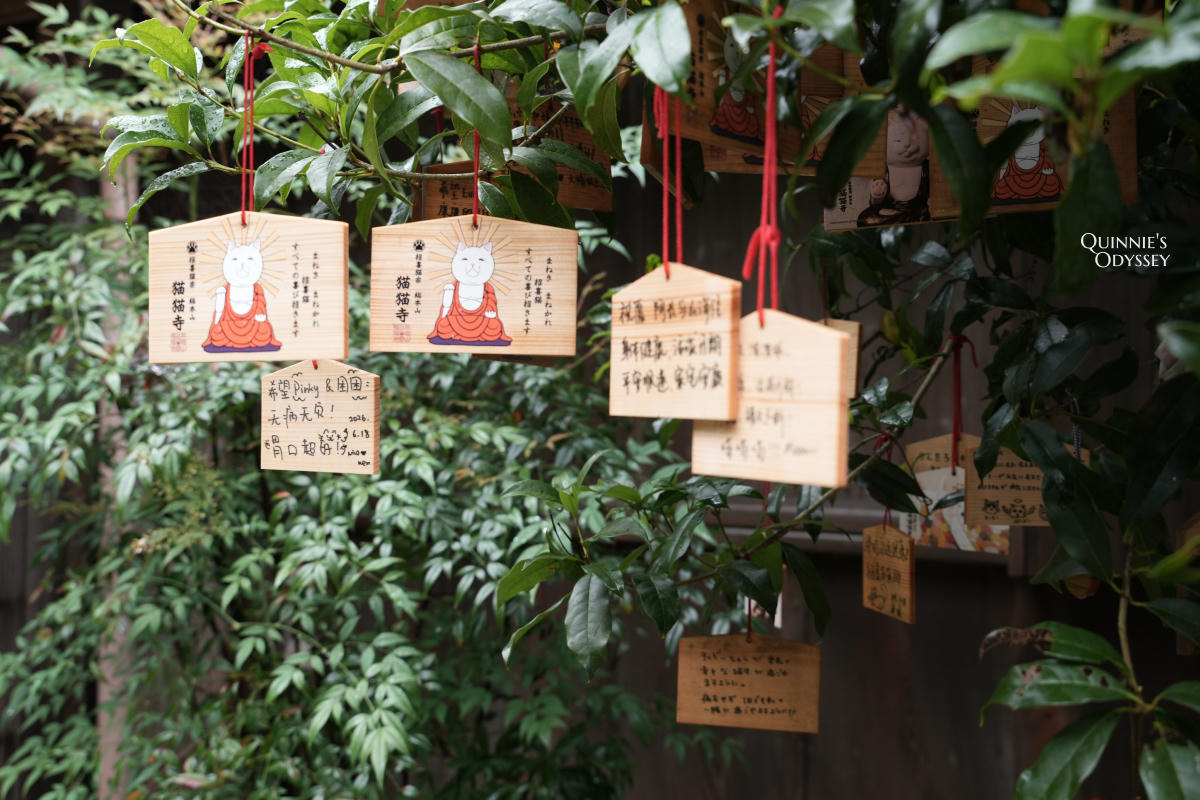 京都貓貓寺:貓奴必訪寺院型美術館,每個角落都是貓咪藝術 - 第5張圖 京都 貓貓寺