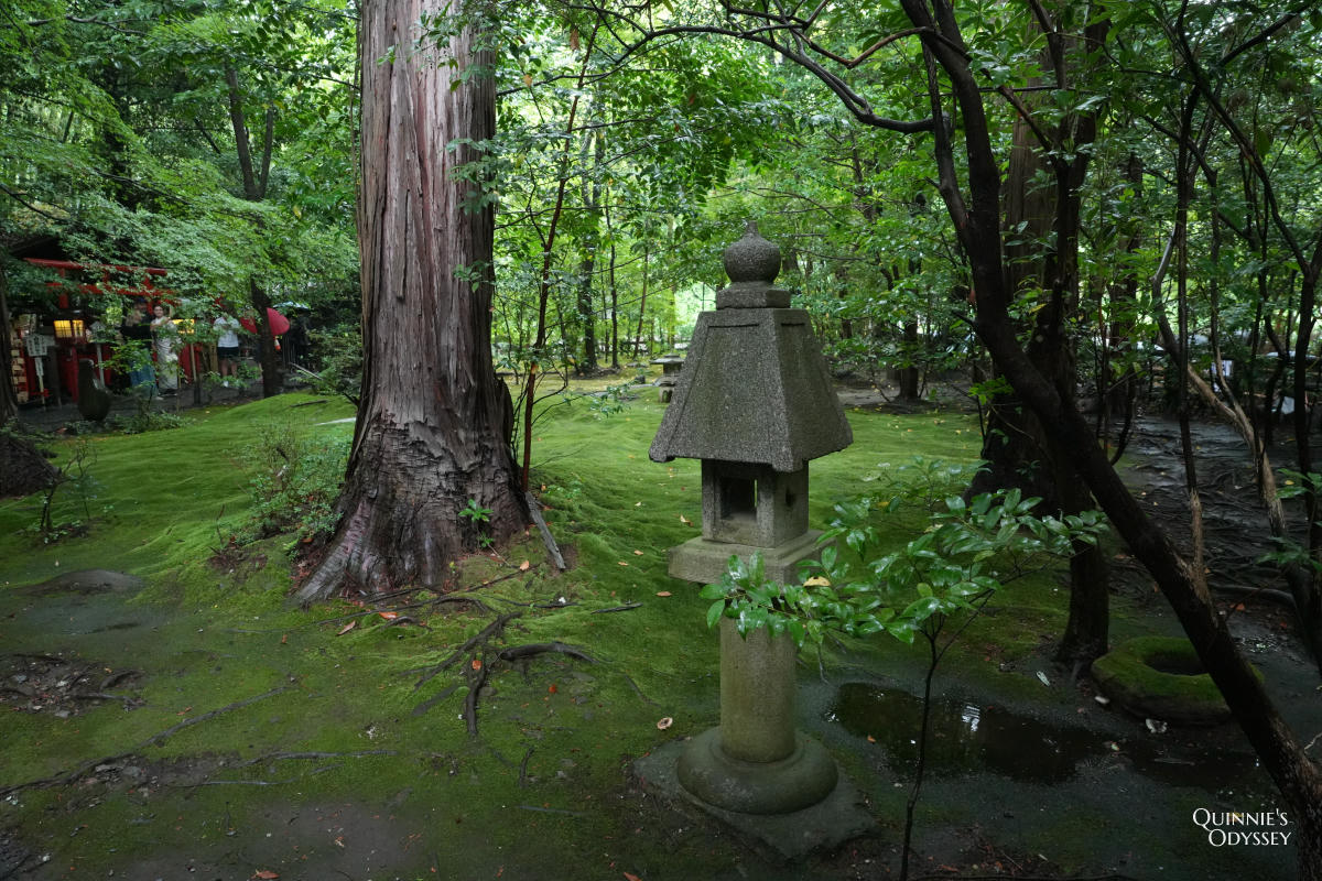 野宮神社:嵐山竹林裡的良緣神社,源氏物語的舞台 - 第12張圖 野宮神社 苔蘚庭園