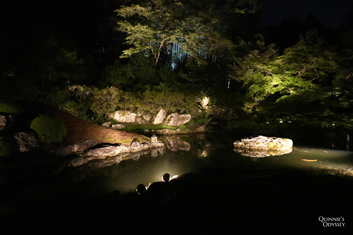青蓮院夜間點燈 庭園