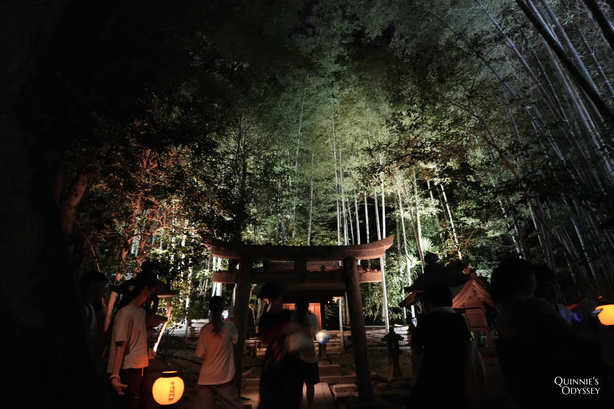 青蓮院夜間點燈 竹林 鳥居