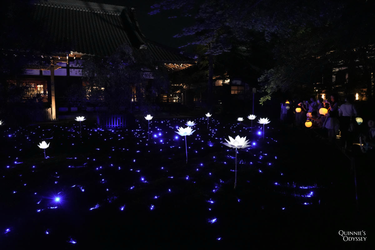青蓮院夜間點燈 庭園