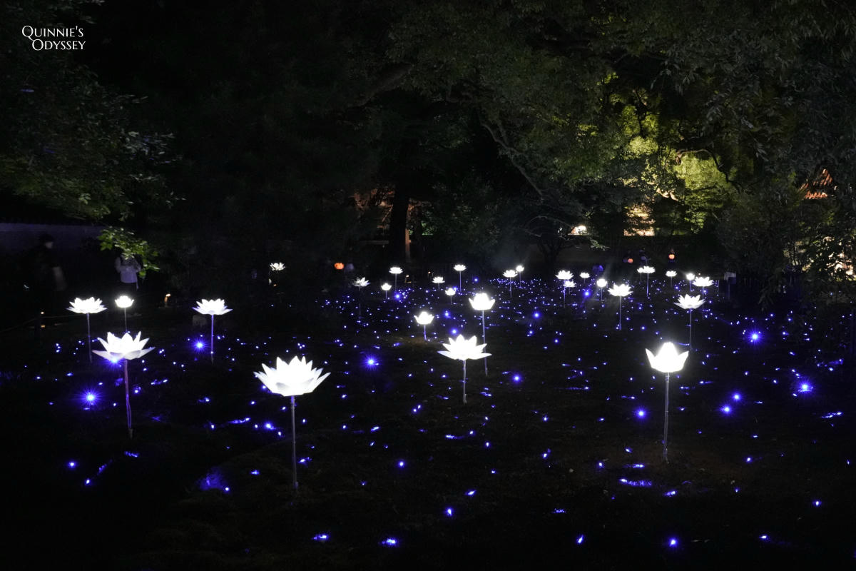 青蓮院夜間點燈 宸殿