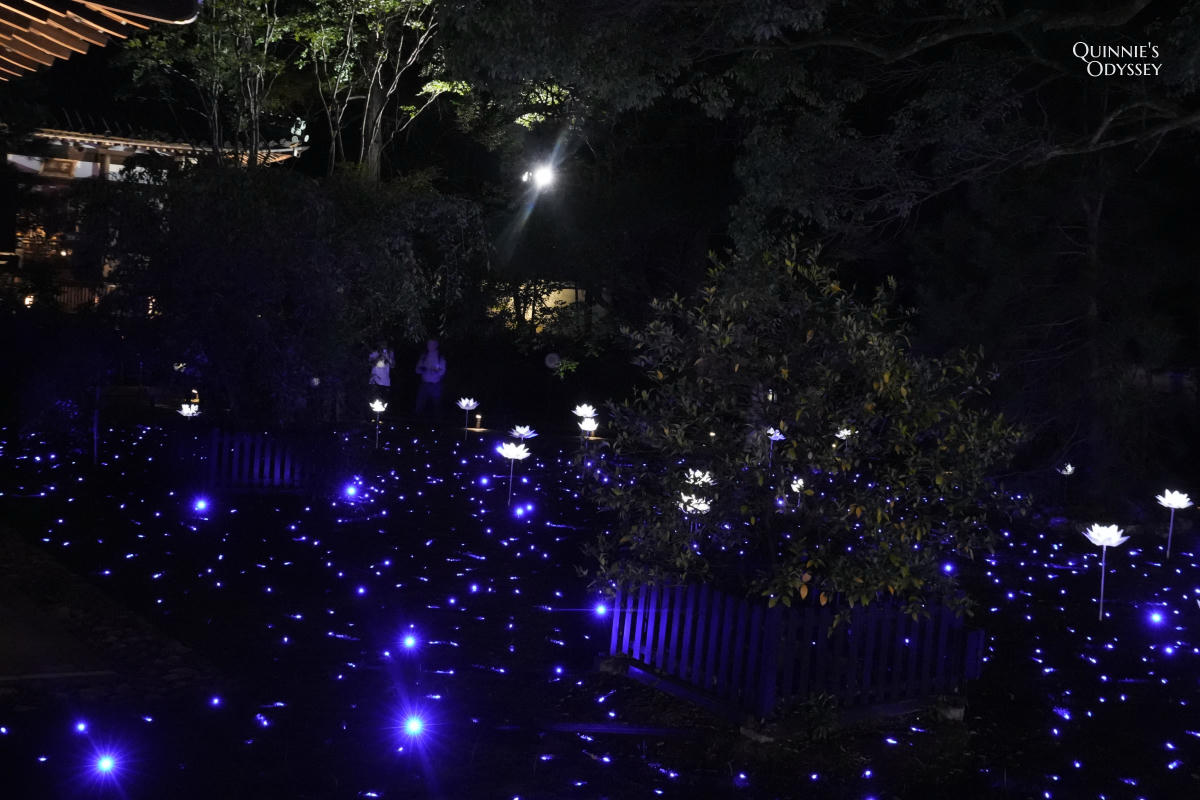 青蓮院夜間點燈 宸殿