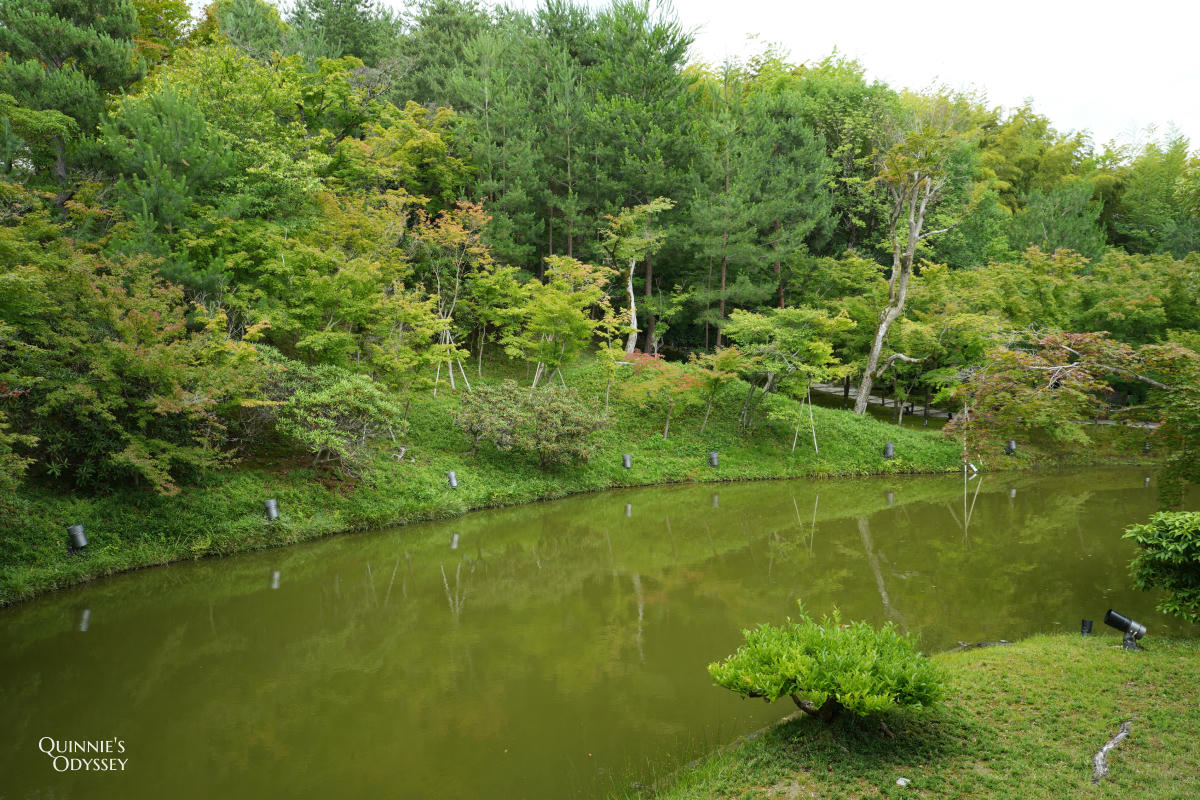 京都高台寺:豐臣秀吉與寧寧的愛情故事就藏在這裡 - 第21張圖 高台寺 臥龍池