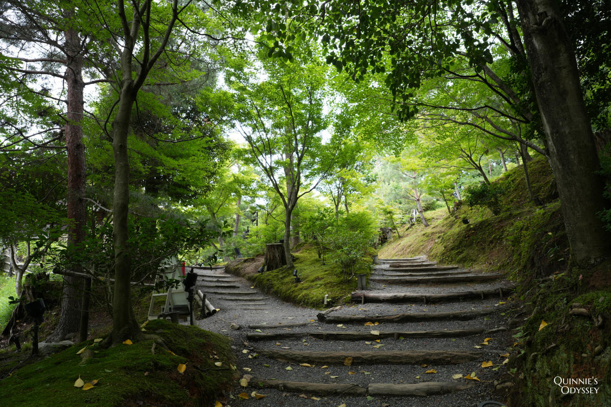 京都高台寺:豐臣秀吉與寧寧的愛情故事就藏在這裡 - 第28張圖 高台寺 竹林