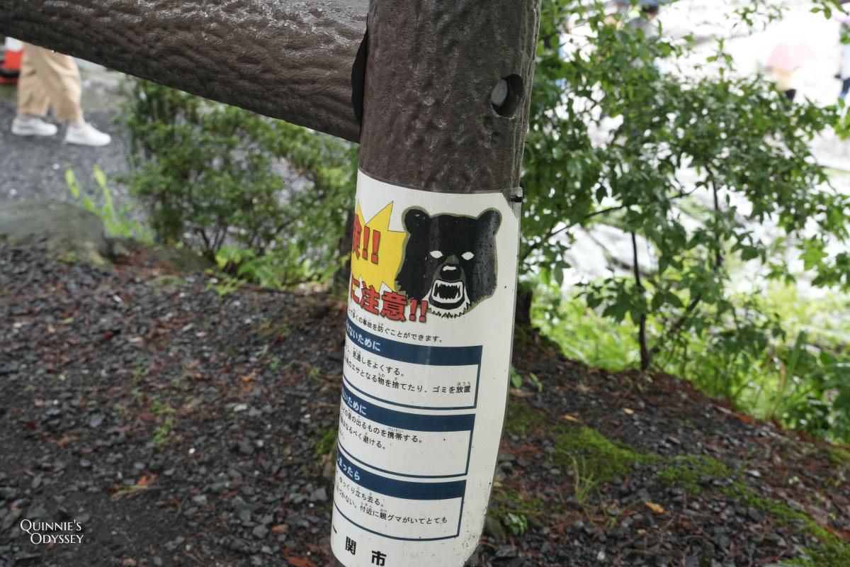 岩手嚴美溪:雨天造訪心得與郭公飛天糰子初體驗 - 第8張圖 雨天的嚴美溪 熊出沒
