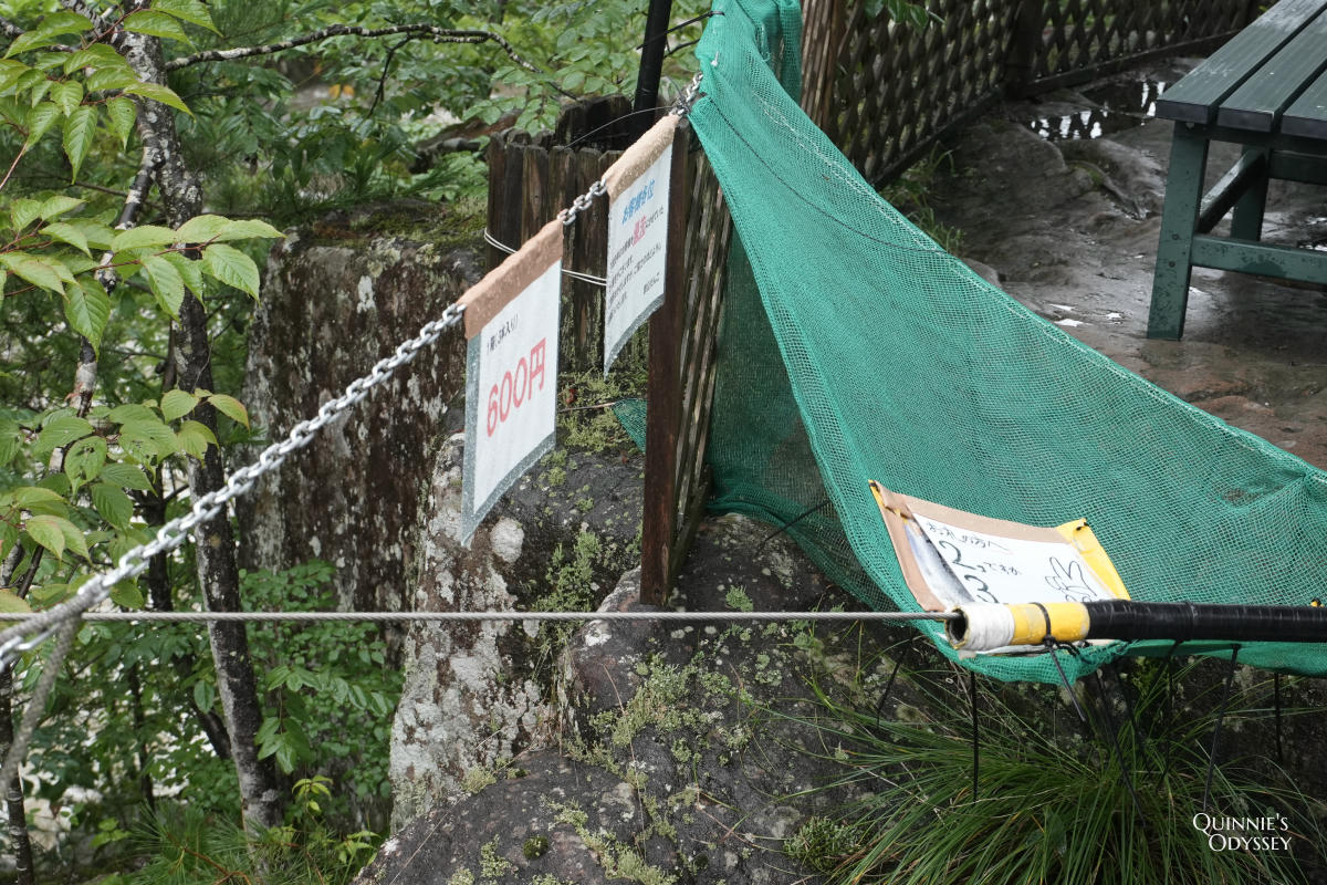 岩手嚴美溪:雨天造訪心得與郭公飛天糰子初體驗 - 第14張圖 嚴美溪、郭公飛天糰子