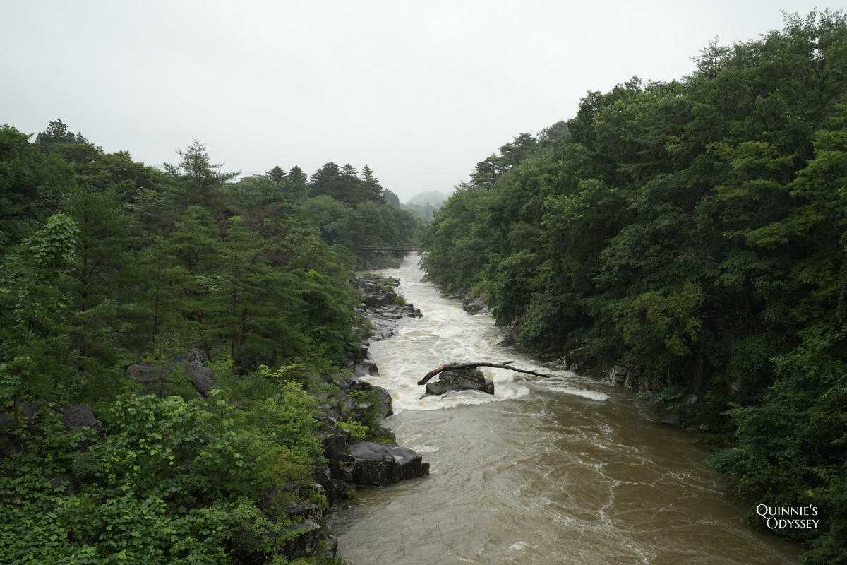 岩手嚴美溪:雨天造訪心得與郭公飛天糰子初體驗 - 第5張圖 雨天的嚴美溪